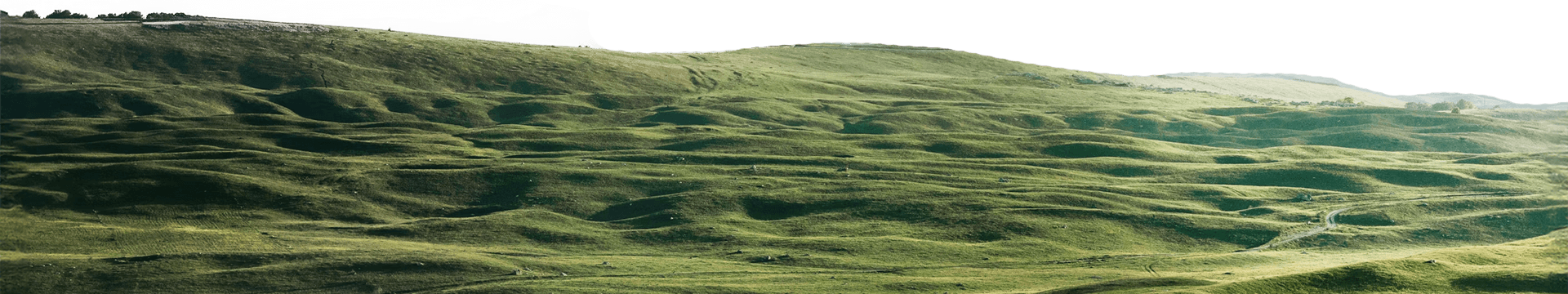 land2.png